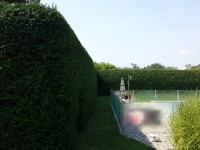 Taille de haie en coin